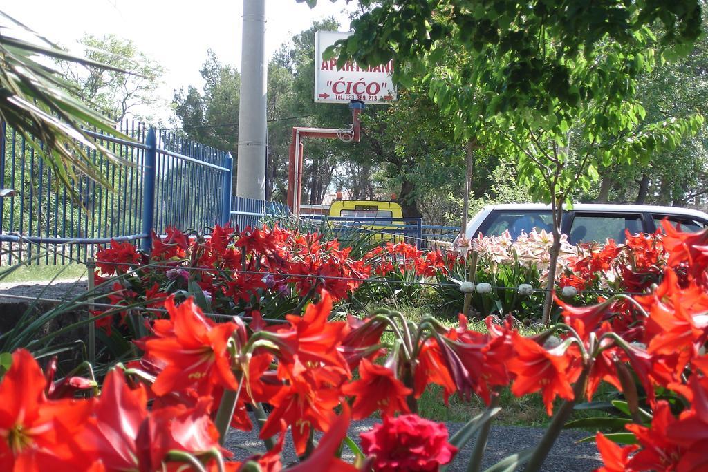 Apartments Cico Stari Grad Kültér fotó